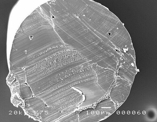 Tennis String Under An Electron Microscope